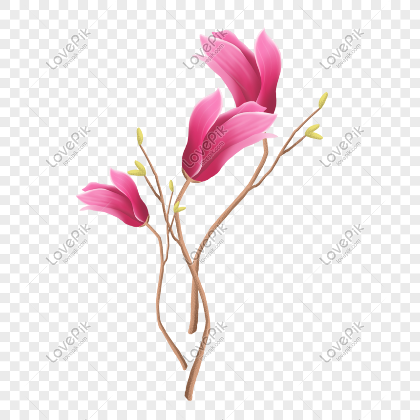 Simple Hand Painted Flowers Petals Png Flowers Painting Flower