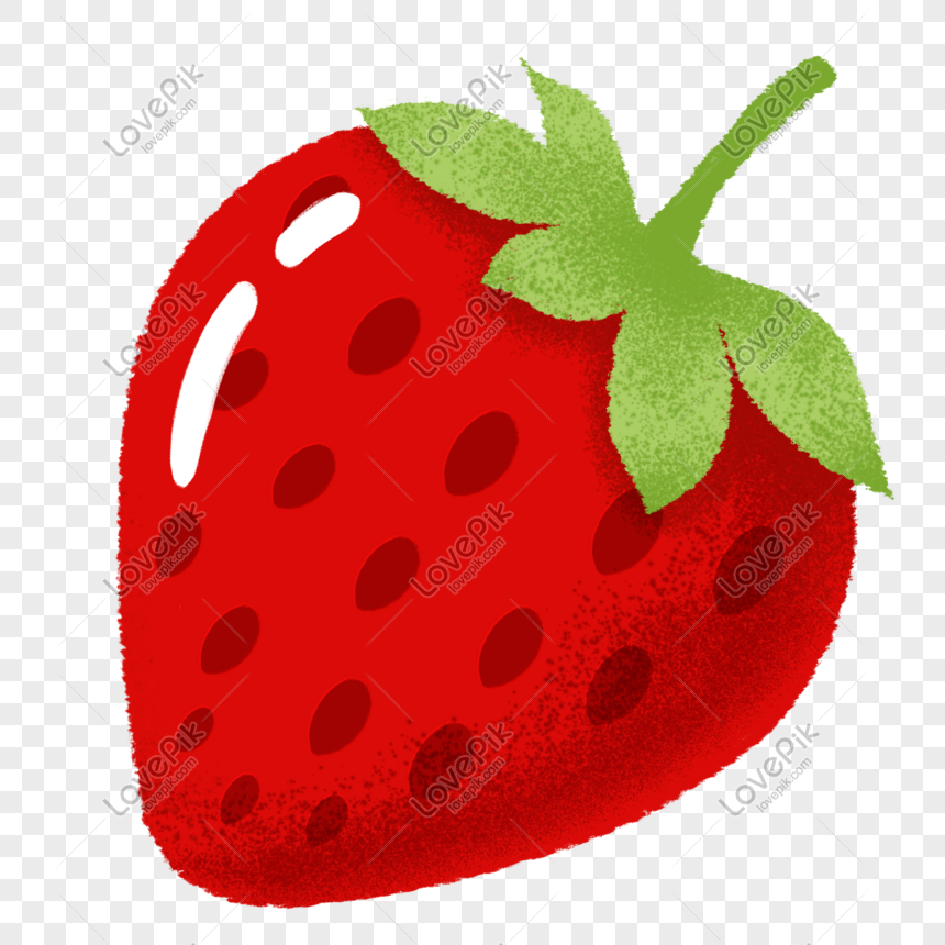 Summer Hand Drawn Strawberry Fruit PNG Transparent Image And Clipart