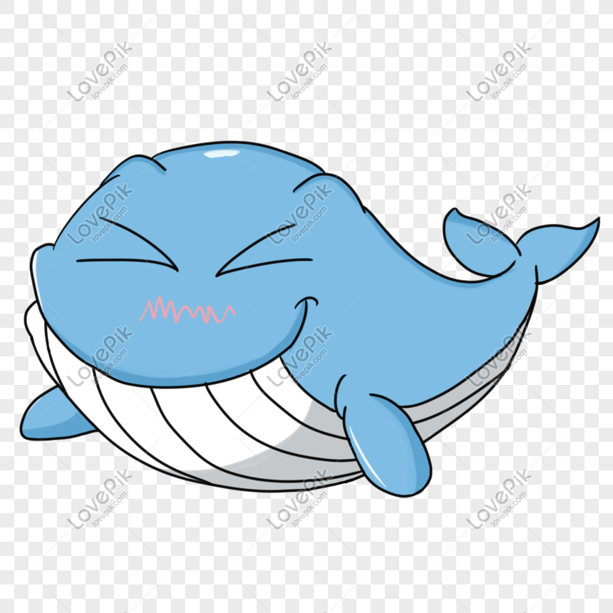 La Ballena Png Im Genes Gratis Lovepik