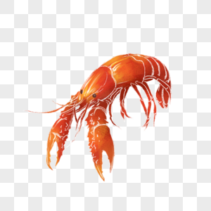 Summer Spicy Crayfish Hand Painted Decoration PNG Image And PSD File