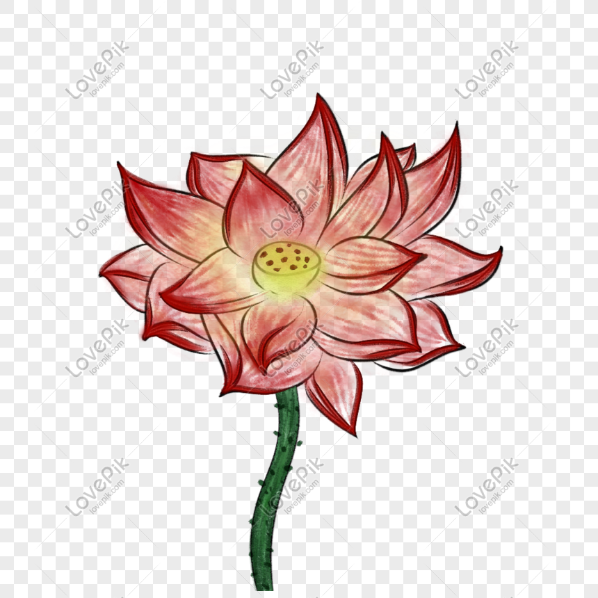 Lotus Flower Decoration Artistic Picture Plant Lotus Ink Png Picture