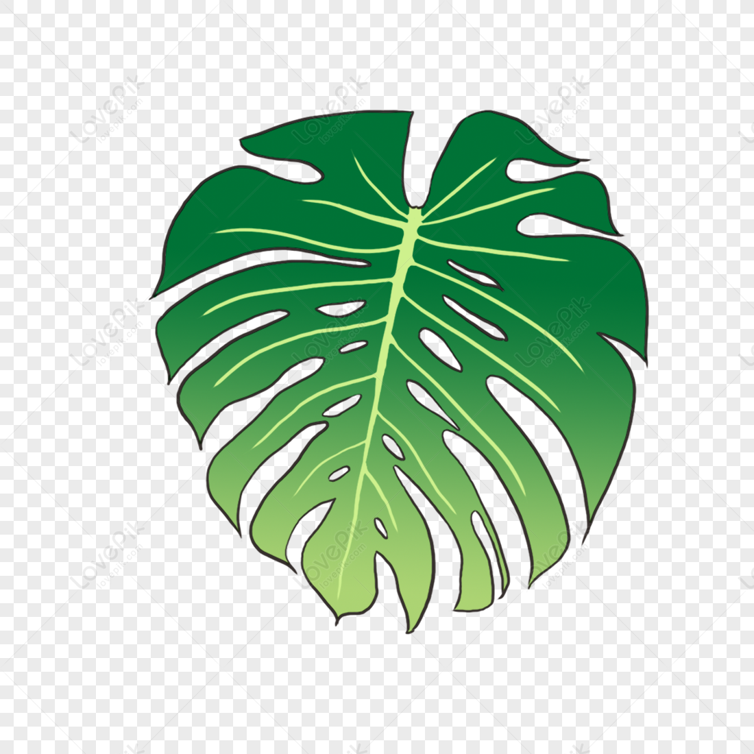 Decorative Foliage PNG Images With Transparent Background Free