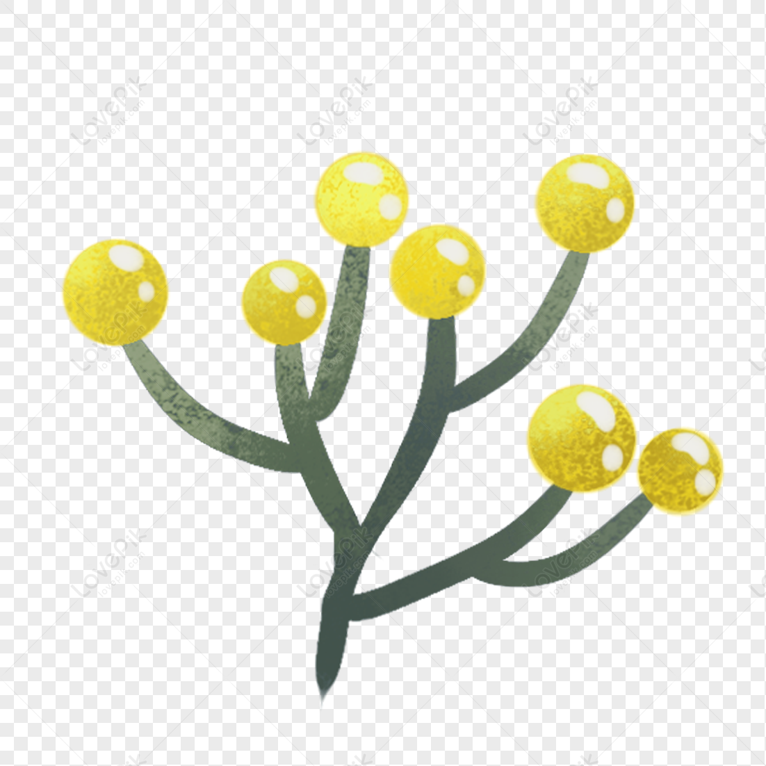 Flower Flower Illustration Flower Vector Flower Yellow PNG