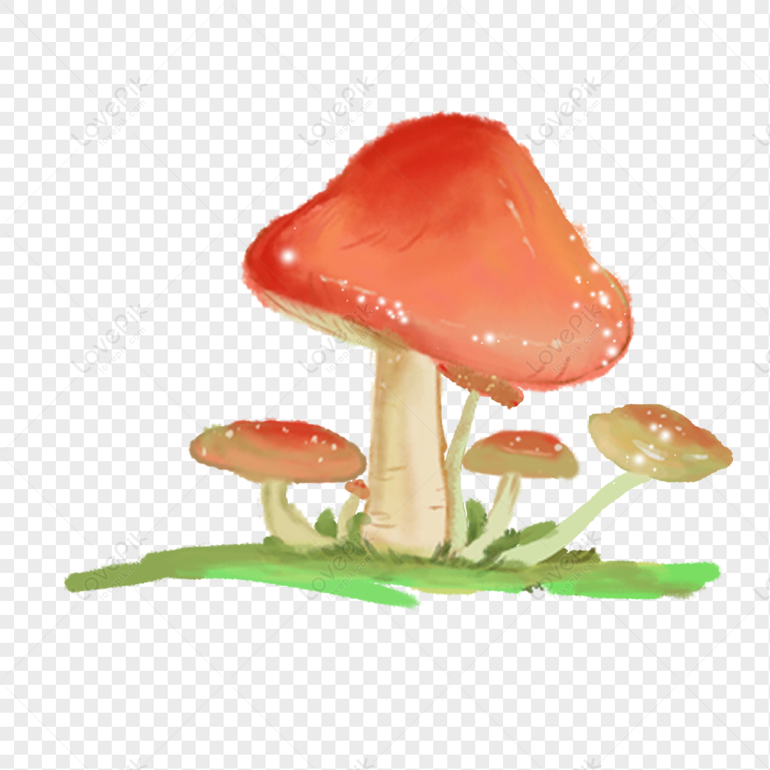 Mushroom Colorful Mushroom Mushroom Mushrooms Grass Mushroom Png Hd