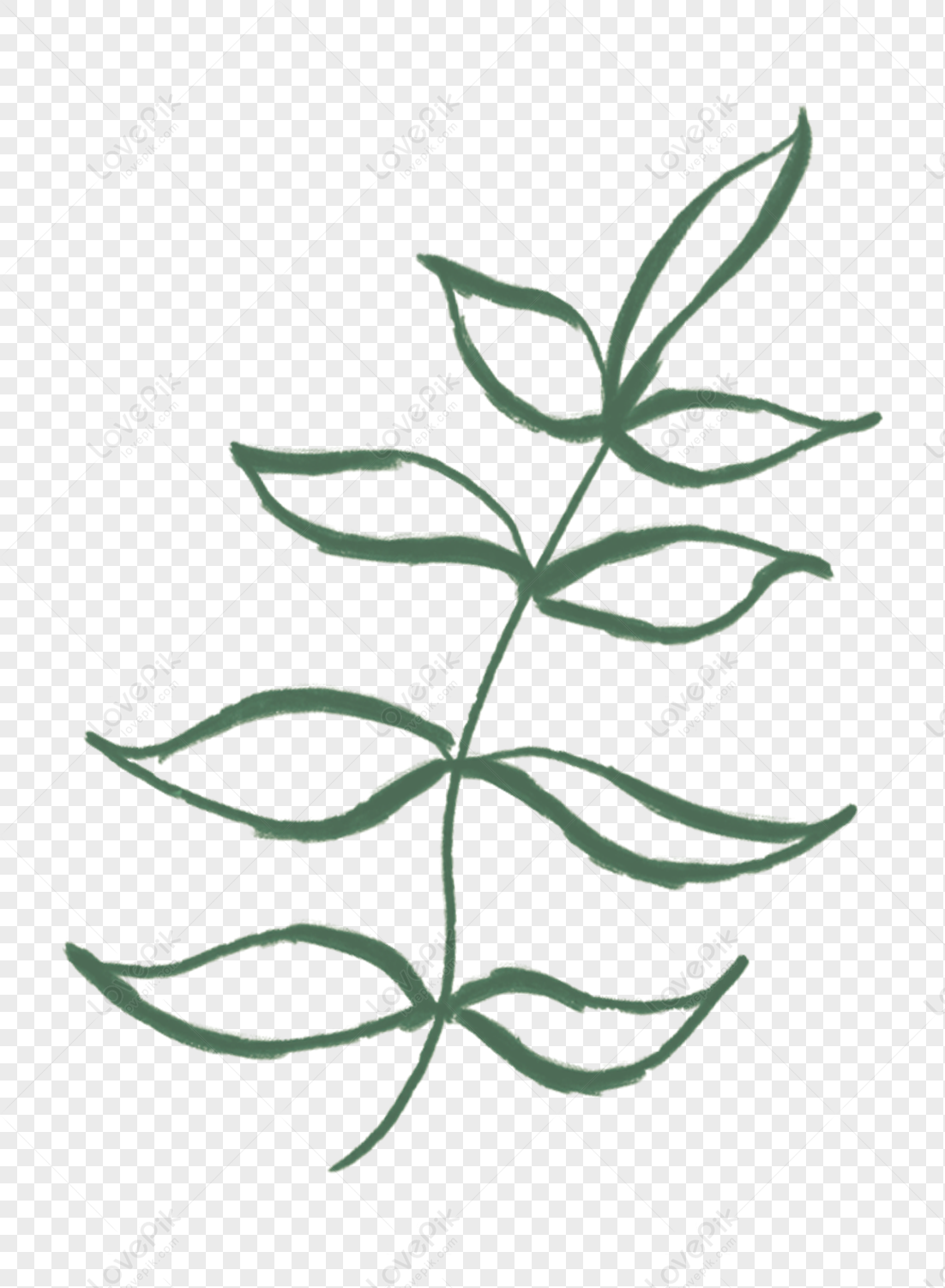 Plant Leaves Green Plant Green Leaves Leaves Vector PNG Transparent