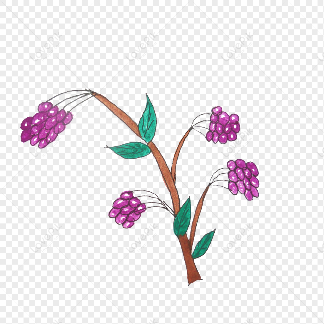 Simple Hand Painted Flowers Petals Hand Vector Drawn Hand Flower