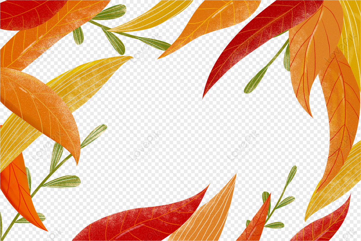 Maple Leaf Border Leaves Lines Autumn Wreath Lines Orange PNG White