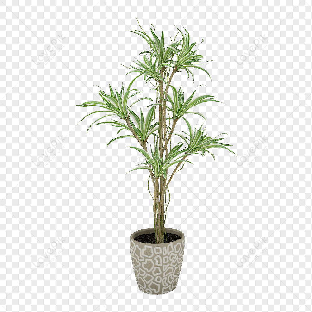 Ornamental Green Plant Materials PNG Transparent Image And Clipart