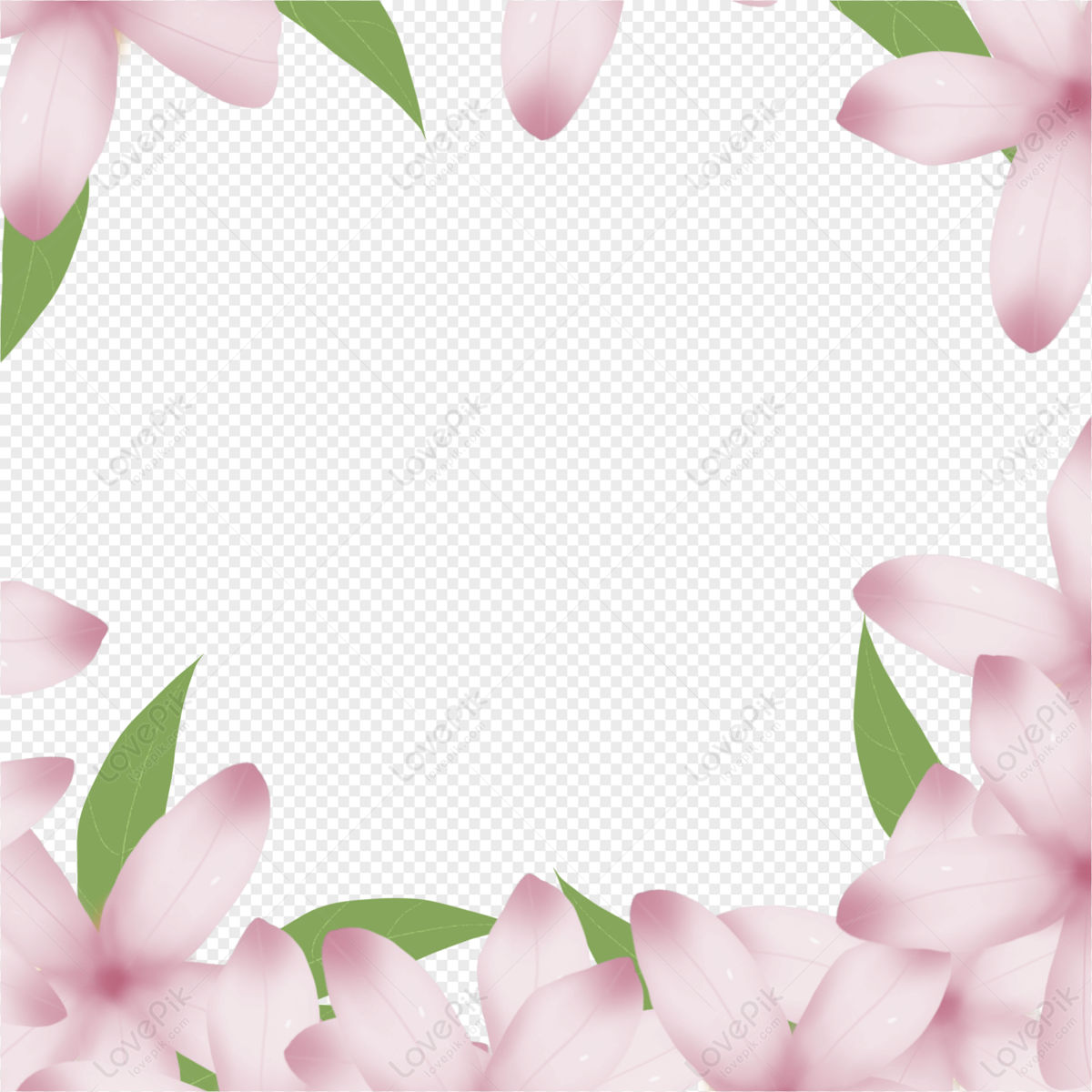 Flower Border Decorative Flower Flower Transparent Flower Patterns