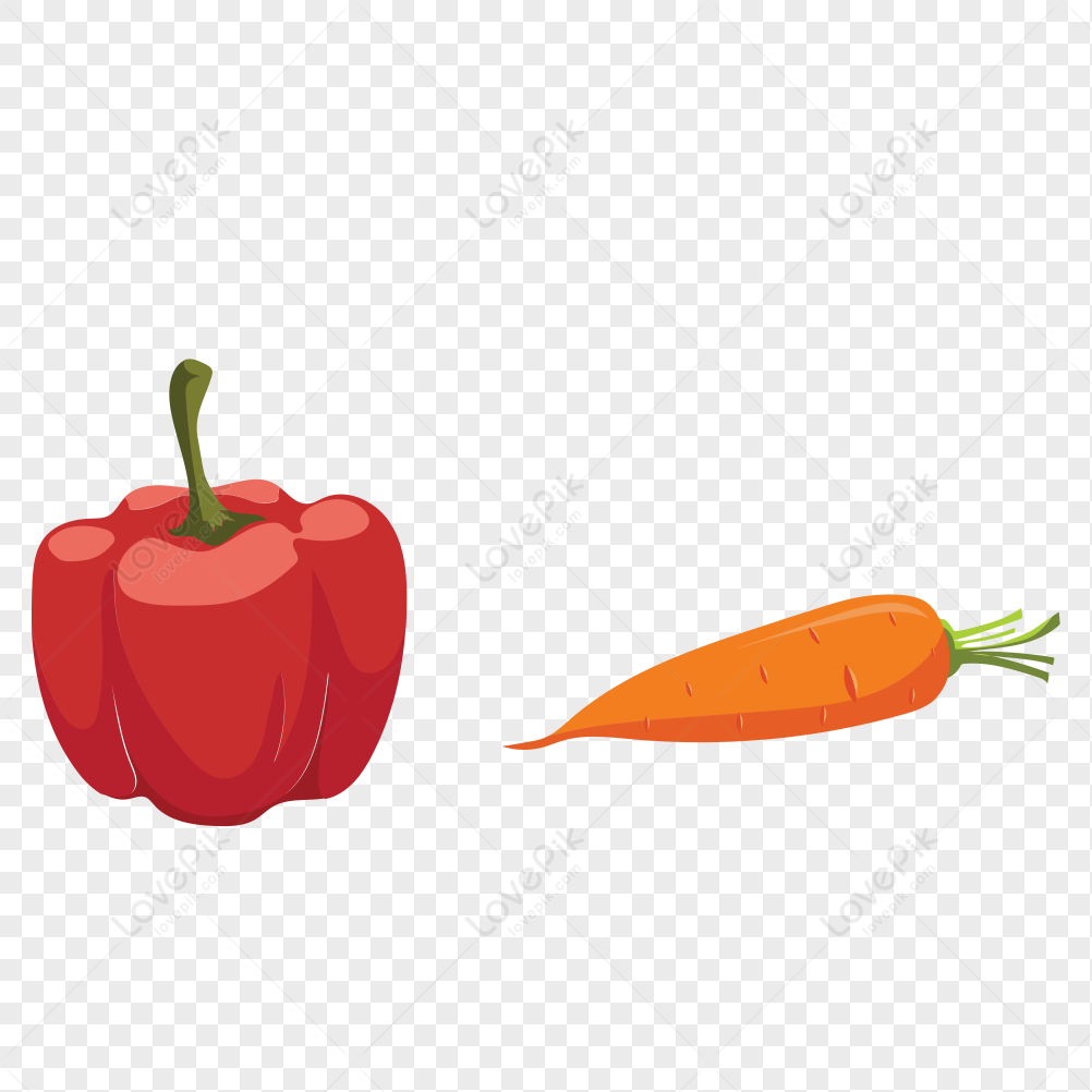 Icono De Vector Vegetal De Zanahoria Chile PNG Imágenes Gratis Lovepik