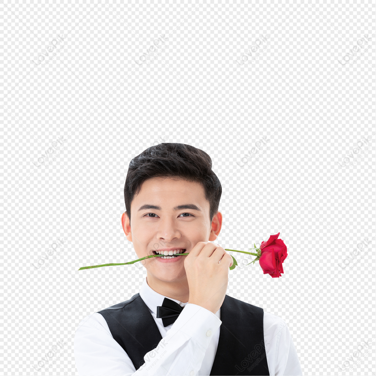 장미를 물고 웨이터 PNG 일러스트 무료 다운로드 Lovepik