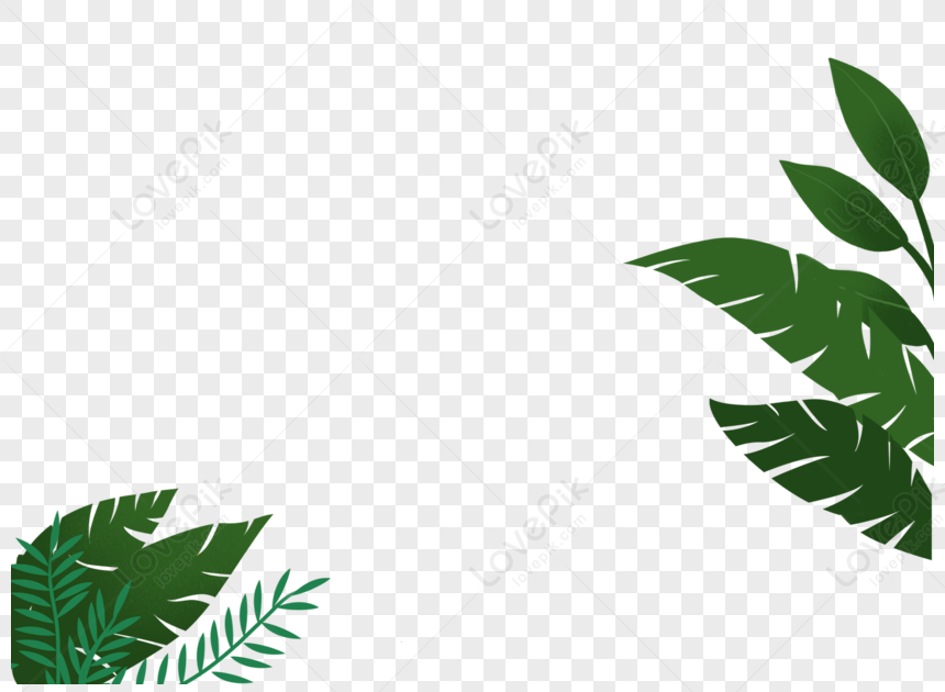 Plant Leaves Green Leaves Leaves Transparent Material Png