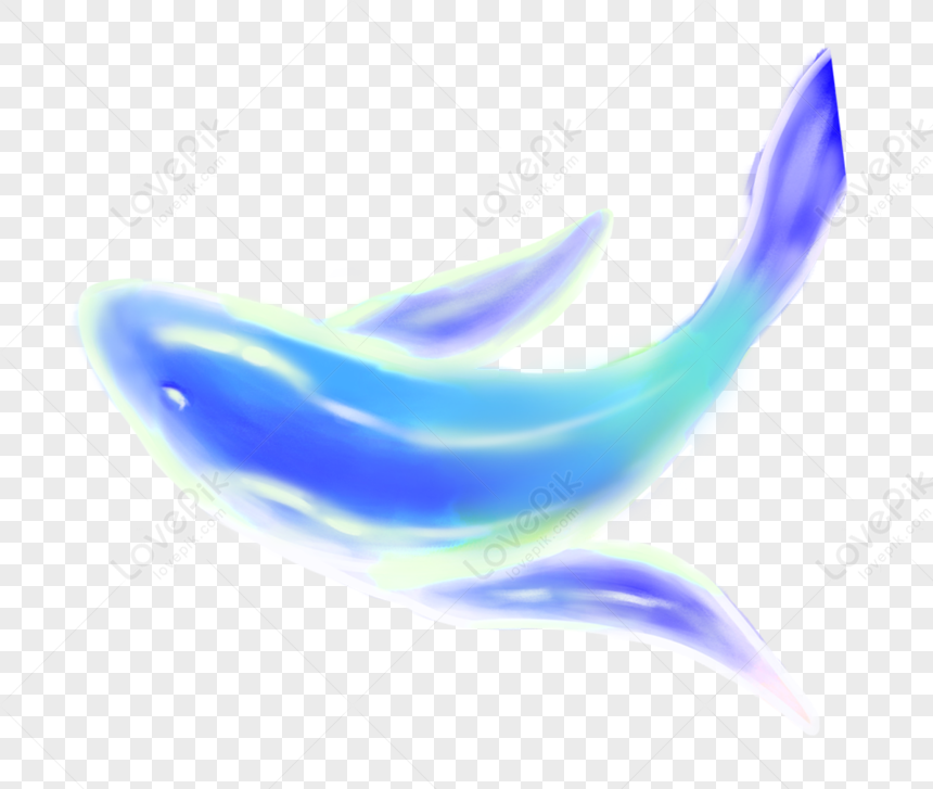 La Ballena Png Im Genes Gratis Lovepik