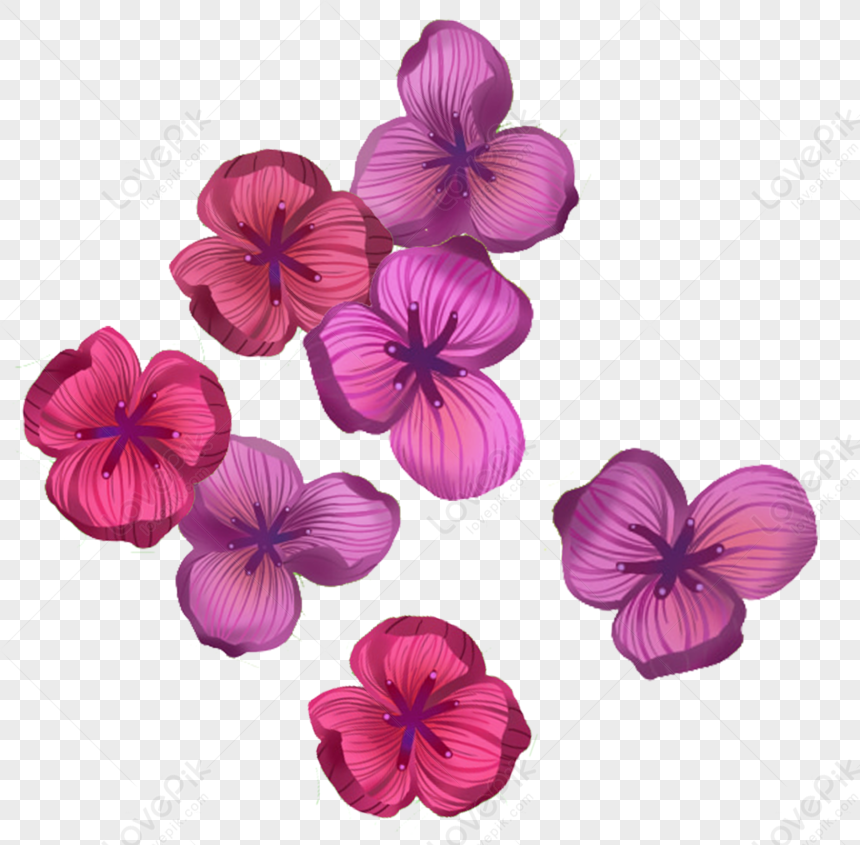 Flower Flower Transparent Flower Flowers Flower Light Free PNG And