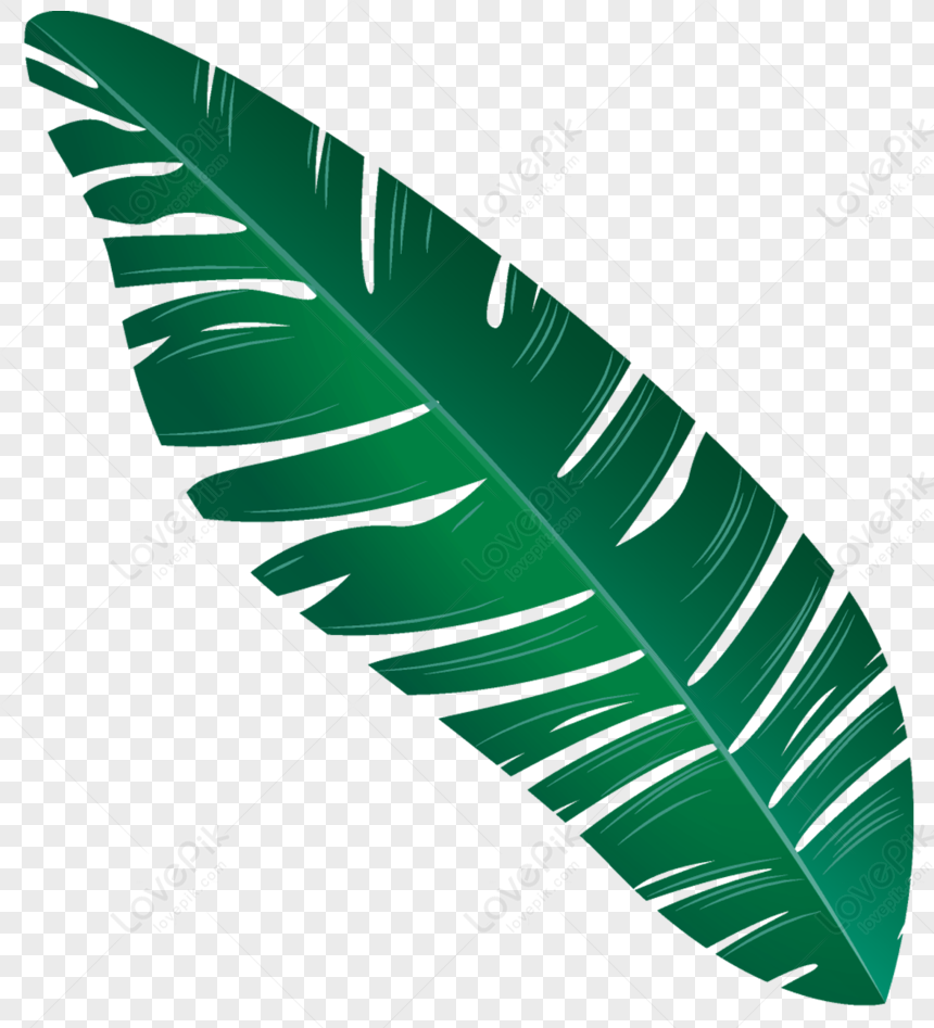 Hand Painted Leaves Green Leaves Leaves Tropical Leaves Tree Png