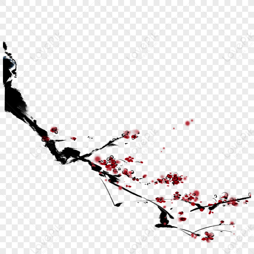 Hand Painted Plum Blossom Black White Cherry Red Dark Red PNG White