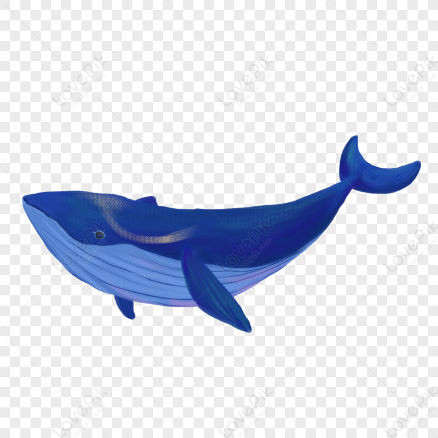 La Ballena PNG Imágenes Gratis Lovepik