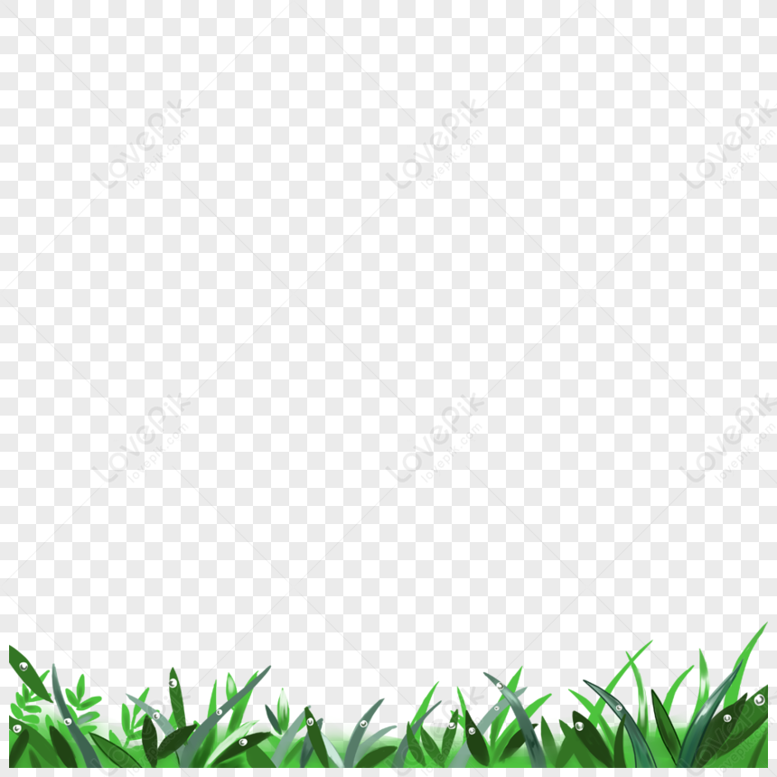 Grass Grass Green Grass Vector Green Lawn Png Hd Transparent Image