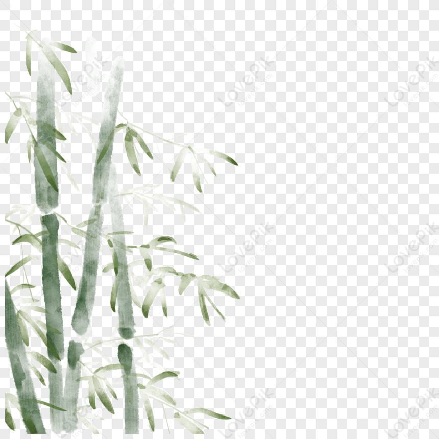 Chinese Bamboo With Ink And Wash Chinese Green Chinese Plants Bamboo