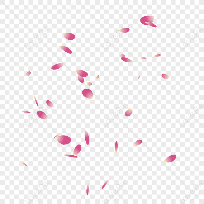 Floating Pink Petals Pink Simple Flower Petals Falling Petals PNG