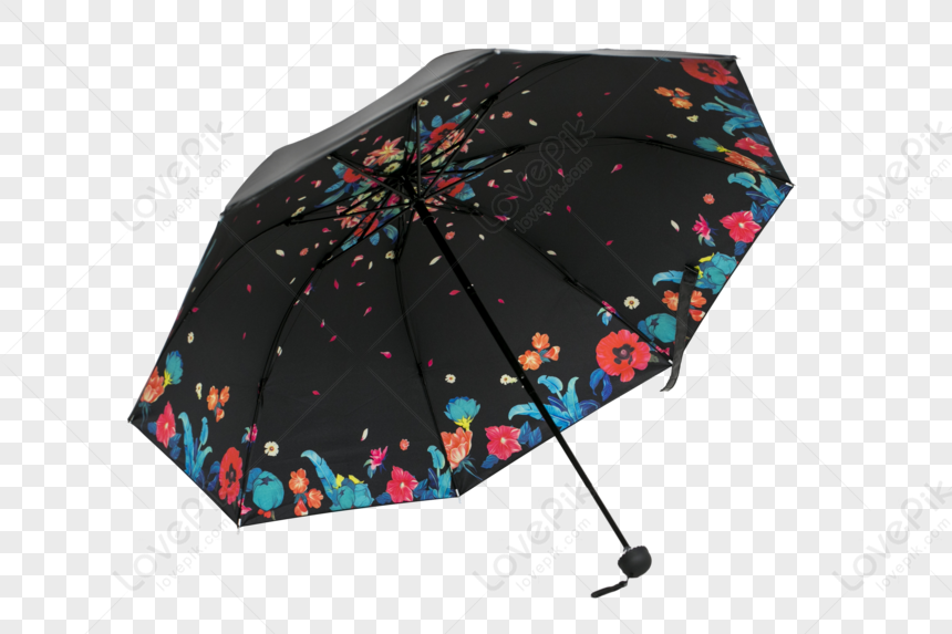 Umbrella Transparent Umbrella Colorful Umbrella Black Umbrella Png