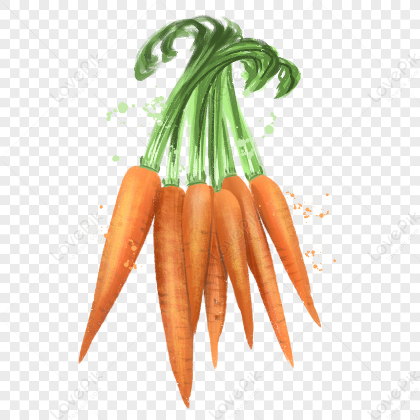 Vegetable A Carrot Green Orange Green Vegetable Orange Transparent