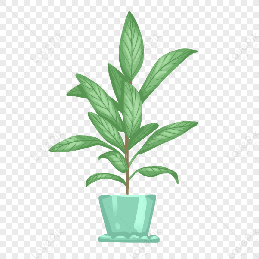 Hand Drawn Plant Rich Tree PNG White Transparent And Clipart Image For