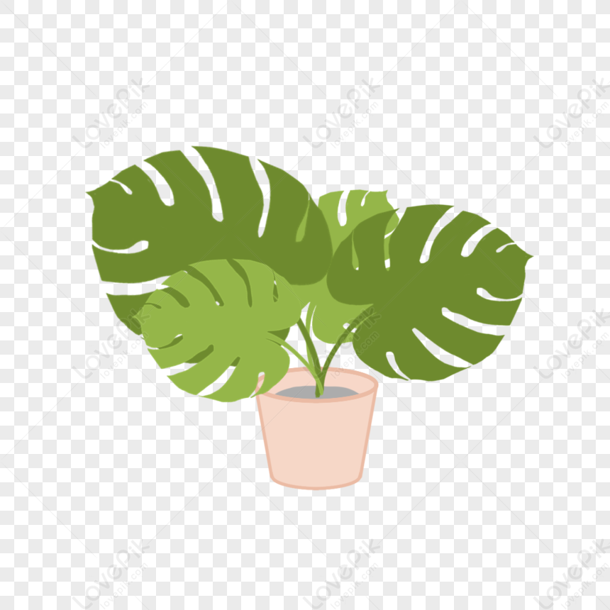 Potted Plants Pots Green Plant Potted Plants Png Image And Clipart