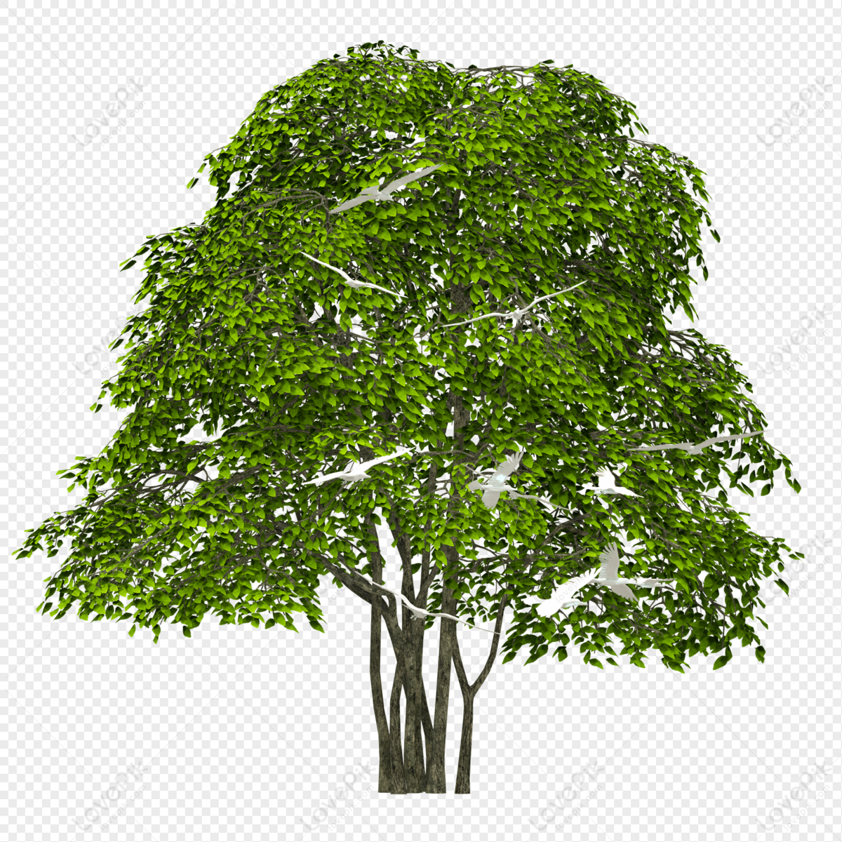 Green Environmentally Friendly Tree D Towering Trees Png Free