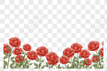 Rose Royalty Rose Flowers Images Hd Png Image With Transparent