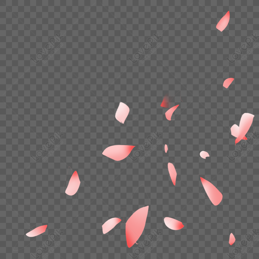 Floating Petals Petals Overlay Petals Flying Plant Png Hd