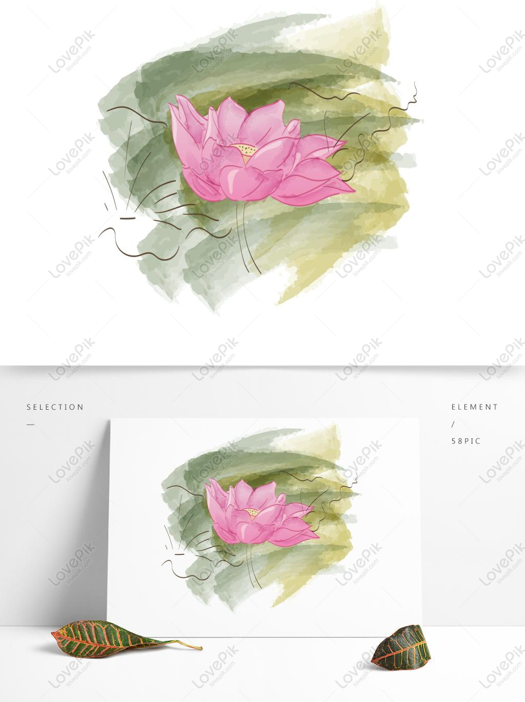 Loto Pintado A Mano Acuarela Pequeña Rosa Fresca Línea Pintura C PNG