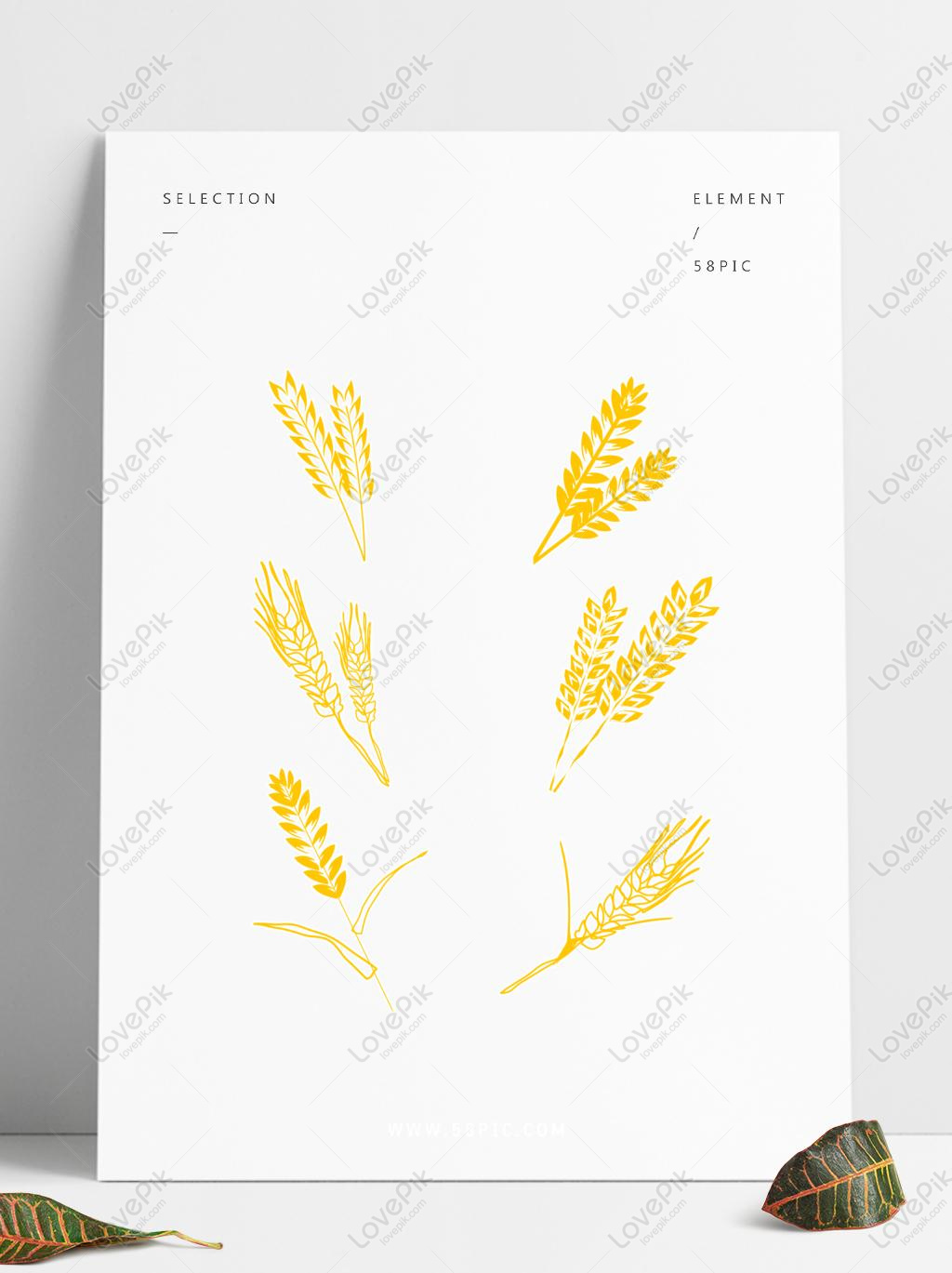 Autumn Harvest Wheat Ear Rice Golden Element Design Autumn Bumper