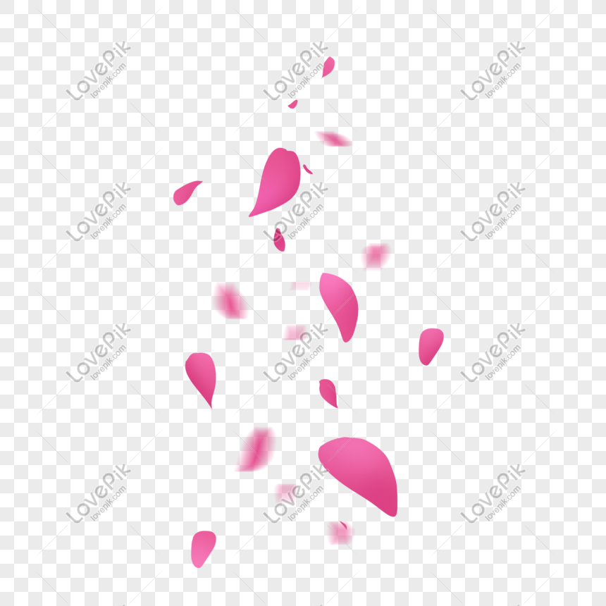 Pink Sprinkles Cute Petals Petals Pink Pink Free Png And Clipart