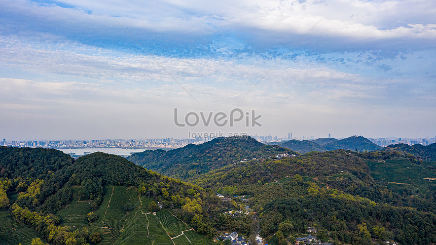 Aerial Photography Hangzhou West Lake Longjing Village Tea Garden