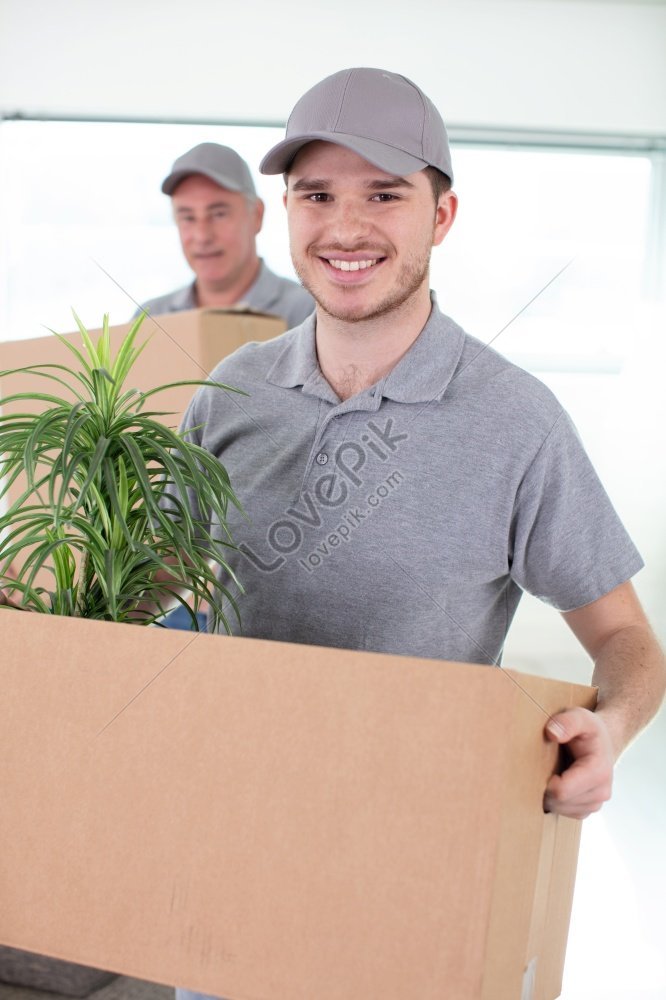 Professional Workers With Cardboard Boxes In A Picture Picture And HD