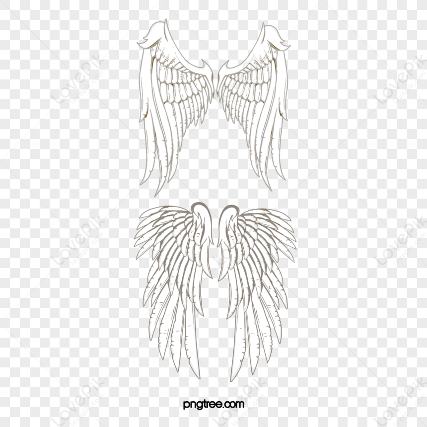 Wing Angel Angel Wings Pure PNG Transparent Image And Clipart Image For