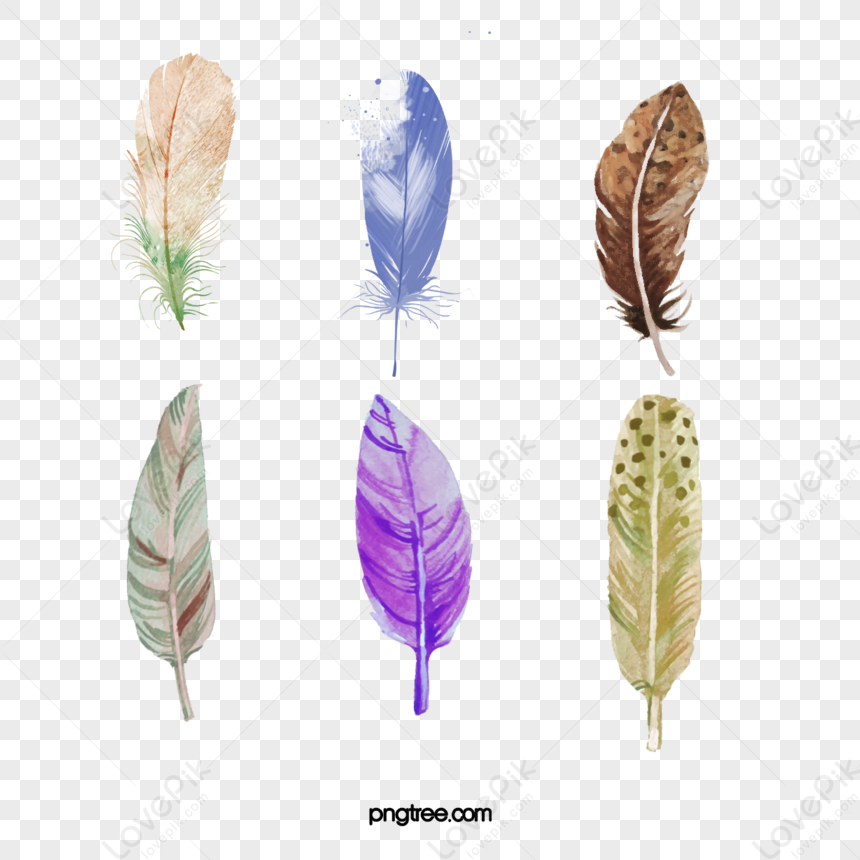 Pluma De Acuarela Pintada A Mano Descargas Estilo Png Im Genes Gratis