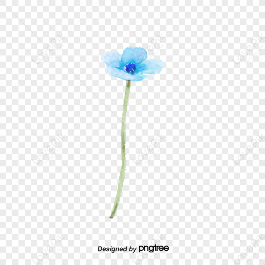 Light Blue Watercolor Flowers Png Transparent Image And Clipart Image