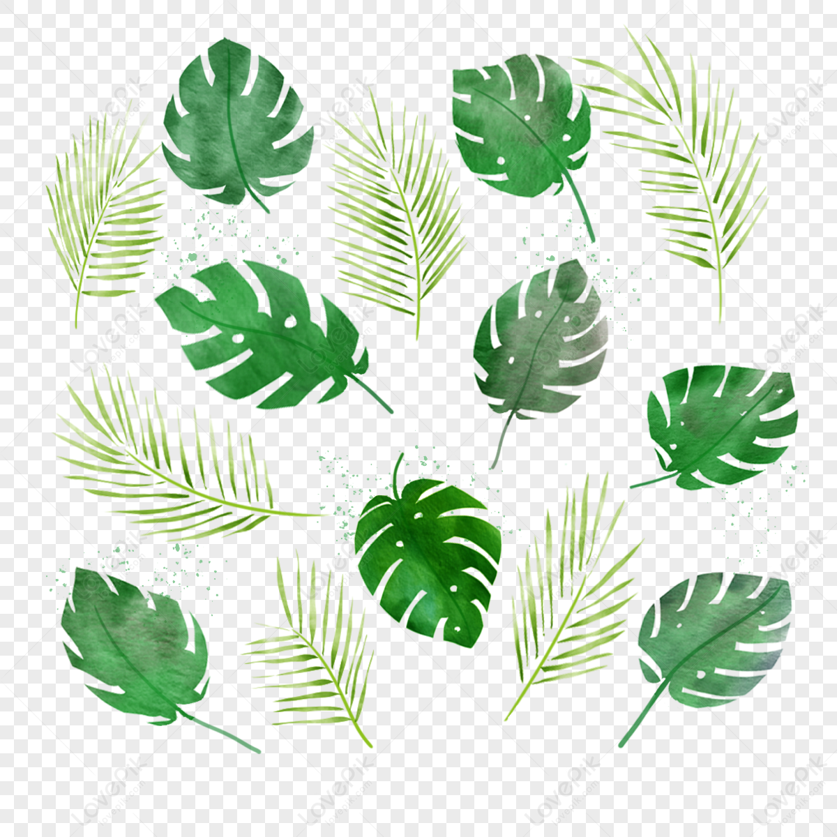 Green Watercolor Palm Leaf Illustration Elements Watercolor