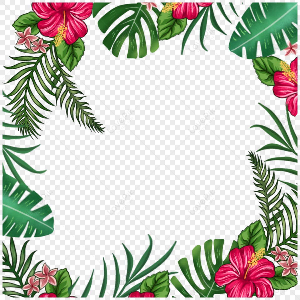 Hand Painted Tropical Leaves Border Botanical Vitality Rainforest Png