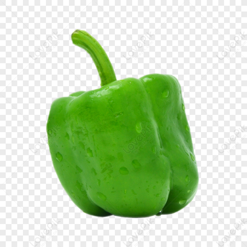 Un Pimiento Verde Fresco Con Gotas De Agua Cuentas Pimiento Dulce Png