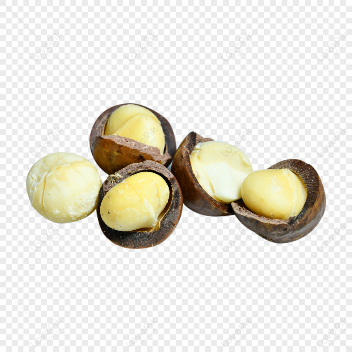 A Pile Of Macadamia Nuts With Openings Macadamia Integrifolia With