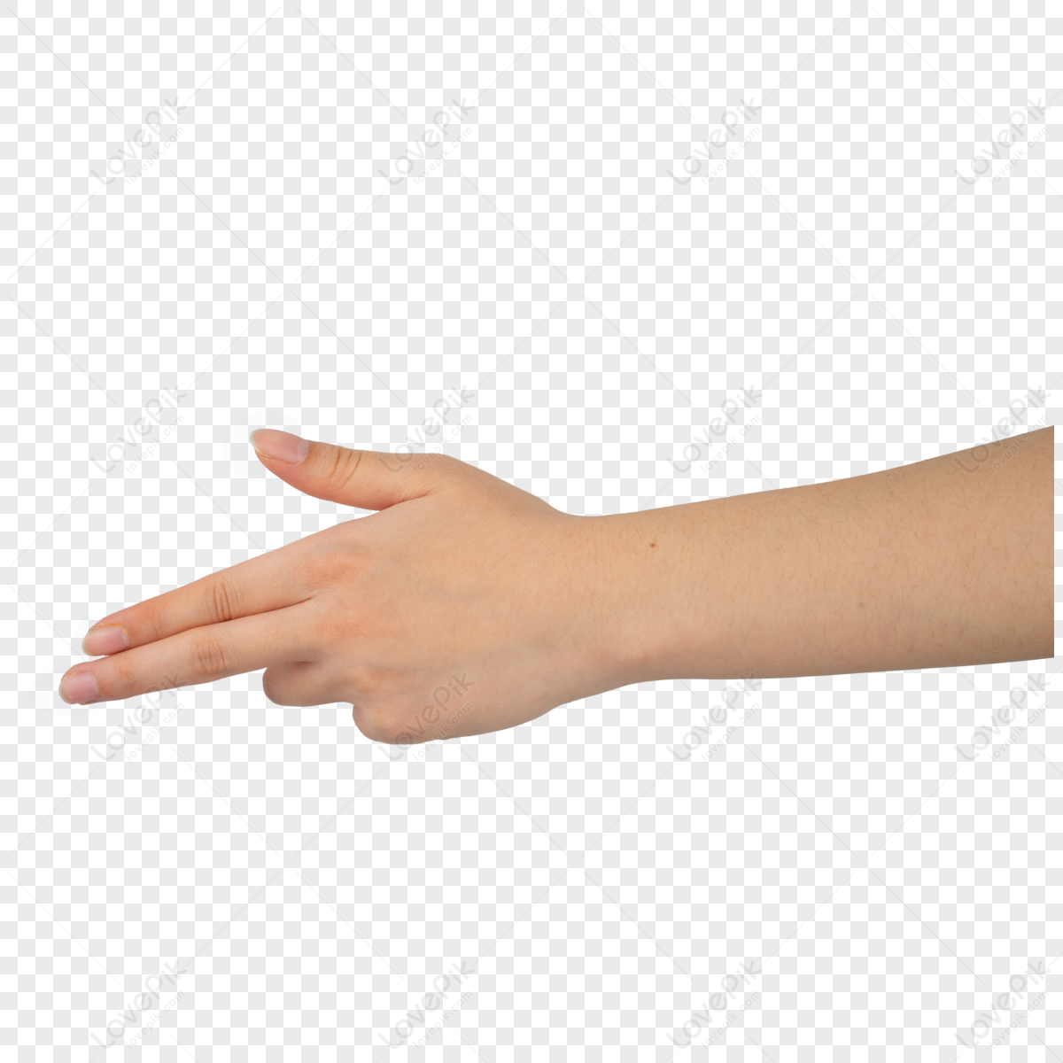 Gesture Action Arm Finger Modeling Limb Model PNG Image And Clipart