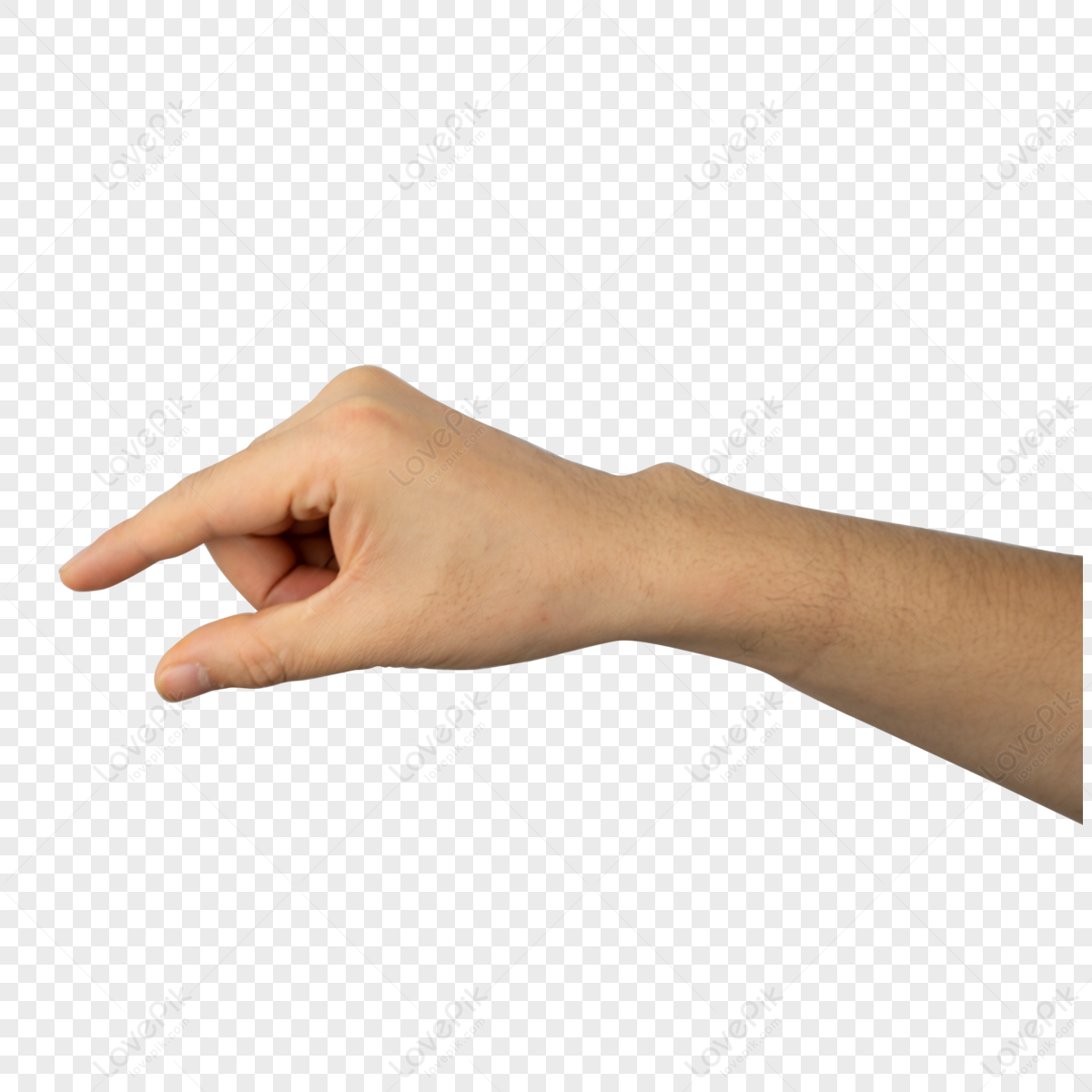 Hand Gesture Modeling Finger Arms Skin PNG Transparent Background And