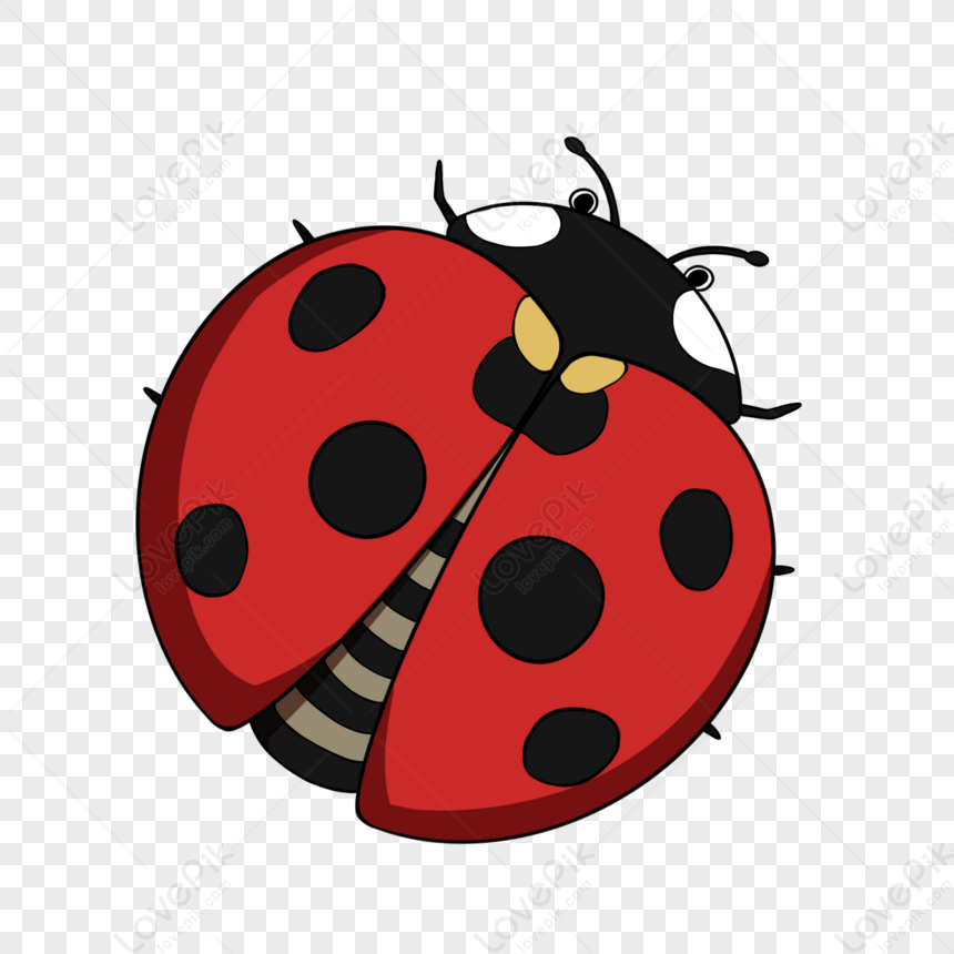 Cartoon Ladybug Clipart Insect Insects Cartoon Style Red Png Picture