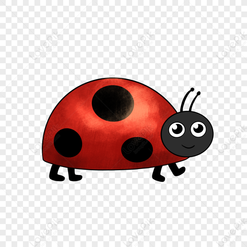 Insecto De Dibujos Animados Lindo Mariquita Clipart PNG Imágenes Gratis