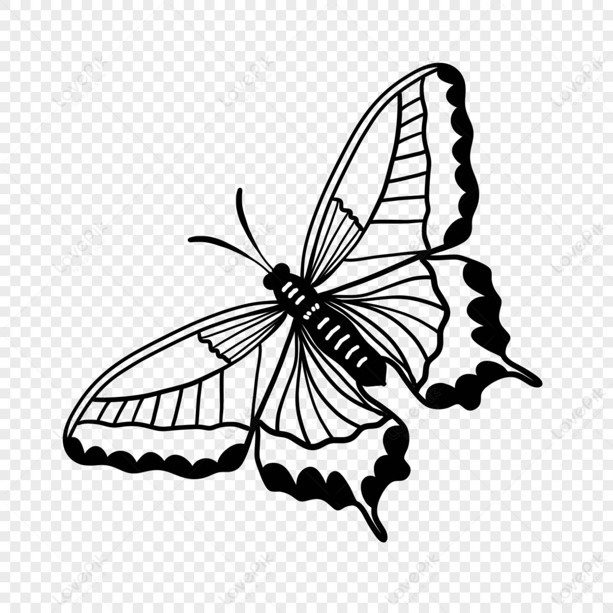 Blanco Y Negro Simple Rayada Mariposa Insecto Mariposa Clipart Blanco Y