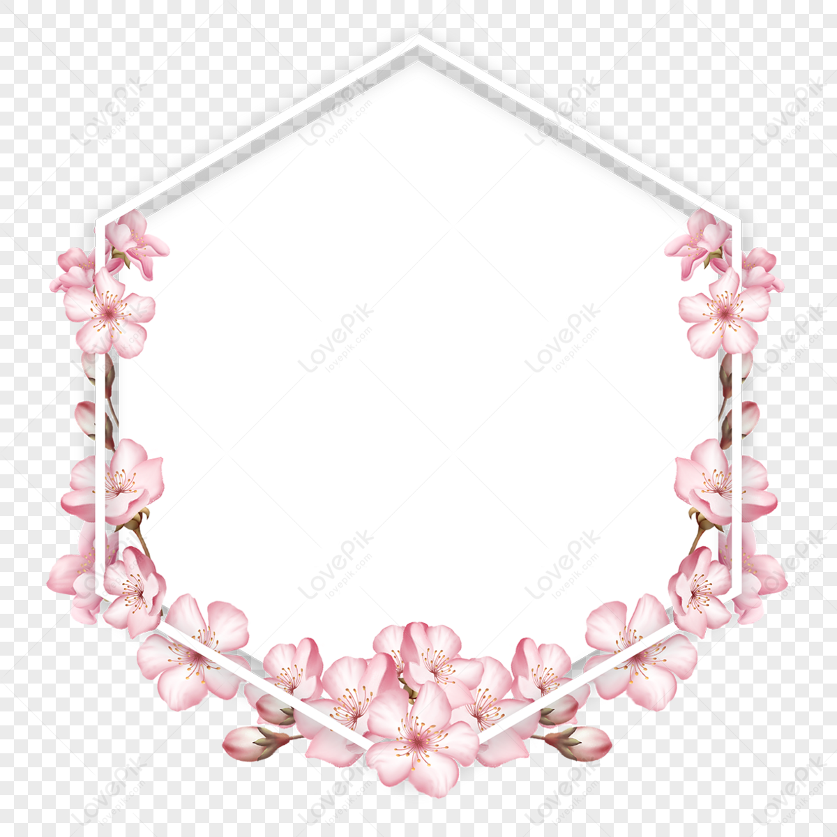 Polygonal Pink Spring Cherry Blossom Border Frame Spring Blossoms Free