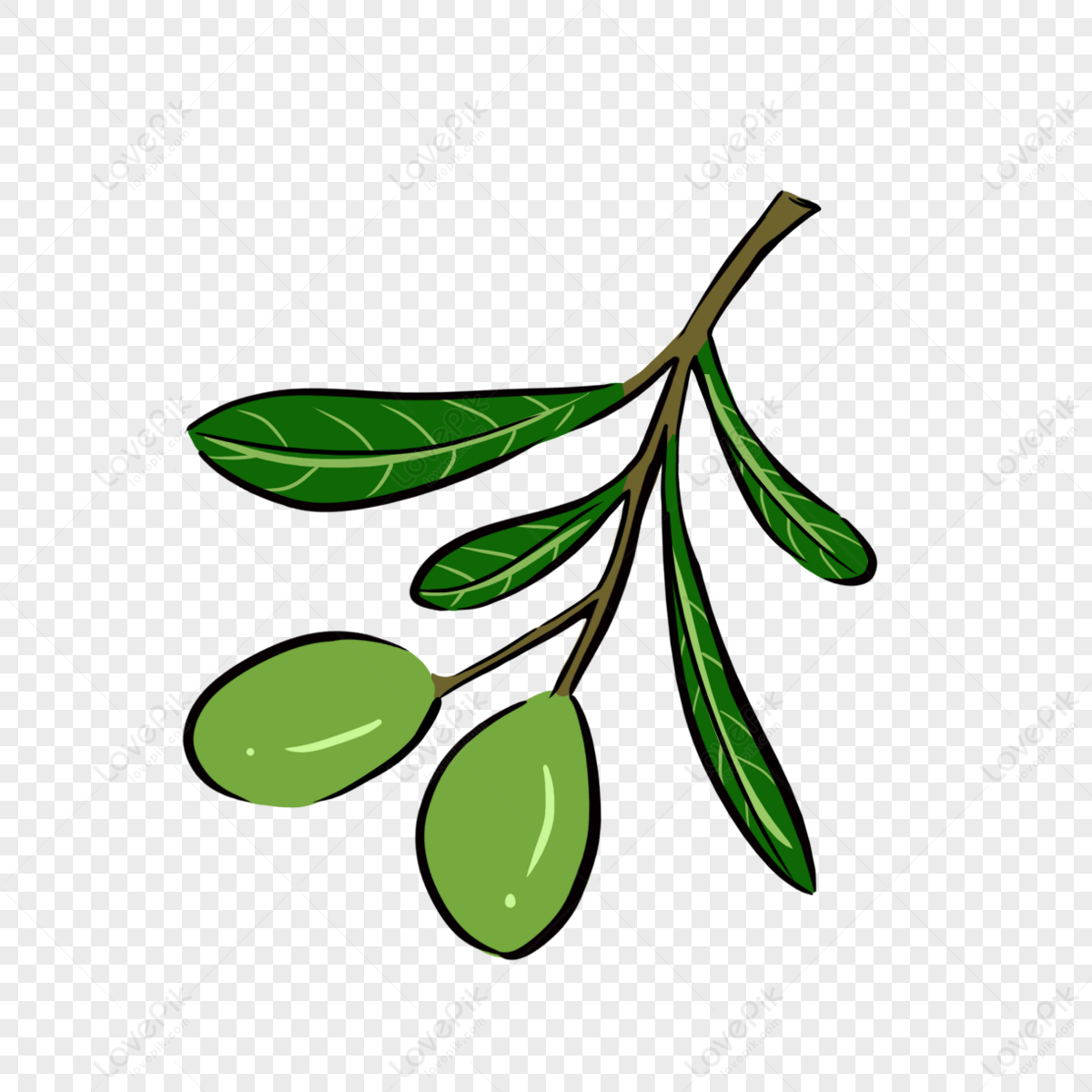 Light Green Two Olives With Four Olive Leaves Clipart Olive Leaf